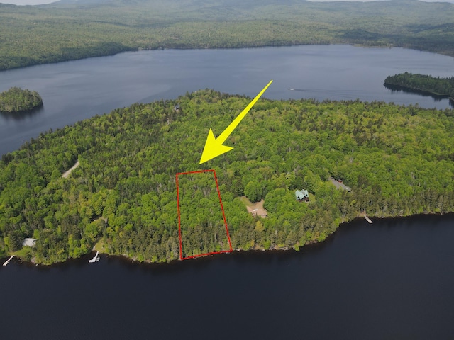 LOT7.4 Pleasant Island Rd, Adamstown Twp, ME 04970 - photo 2