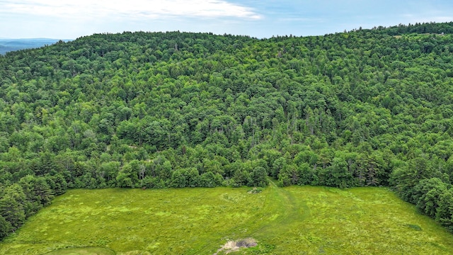 34 Cricket Ln, Sebago, ME 04029 - photo 40