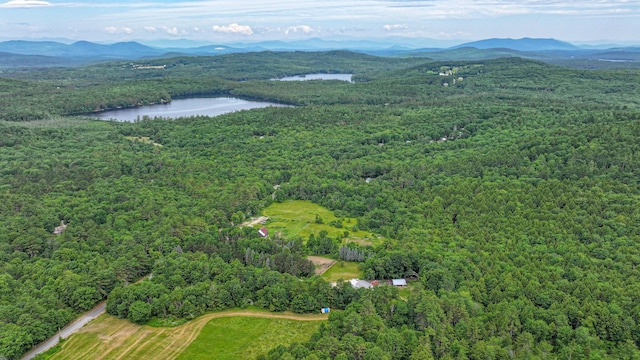 34 Cricket Ln, Sebago, ME 04029 - photo 1