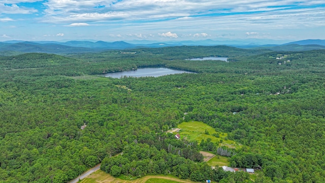 34 Cricket Ln, Sebago, ME 04029 - photo 46
