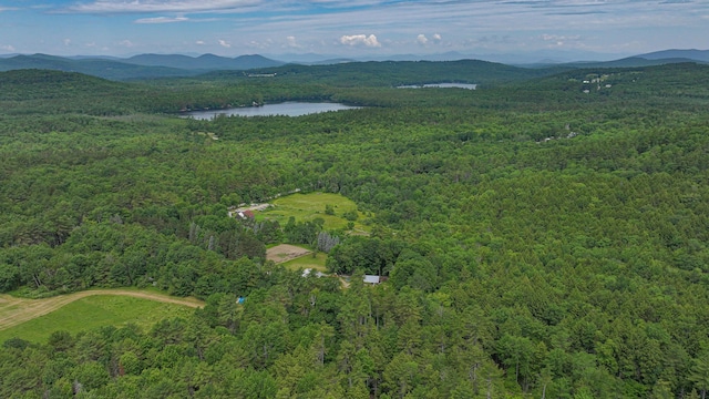 34 Cricket Ln, Sebago, ME 04029 - photo 49