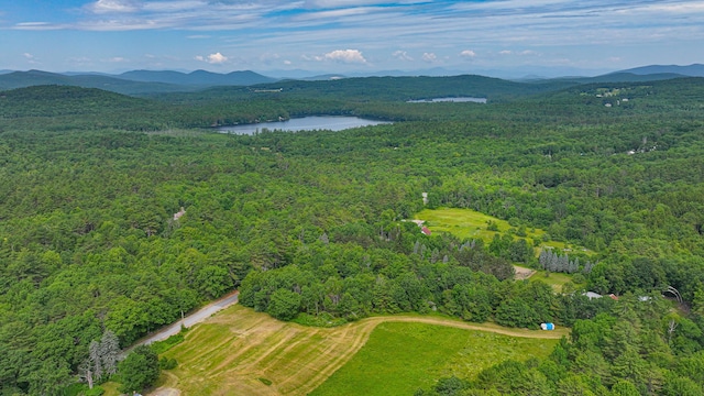 34 Cricket Ln, Sebago, ME 04029 - photo 52
