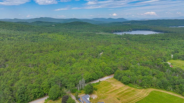 34 Cricket Ln, Sebago, ME 04029 - photo 53