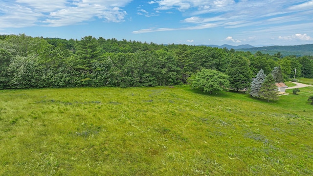 34 Cricket Ln, Sebago, ME 04029 - photo 38