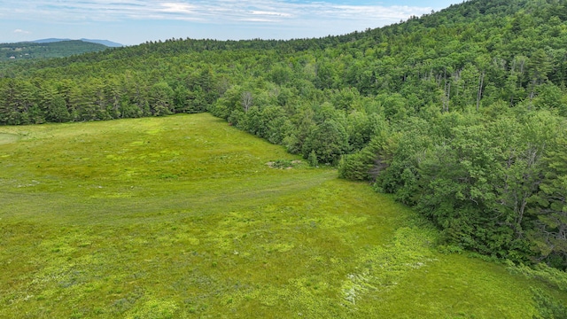 34 Cricket Ln, Sebago, ME 04029 - photo 39
