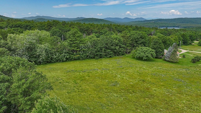 34 Cricket Ln, Sebago, ME 04029 - photo 54
