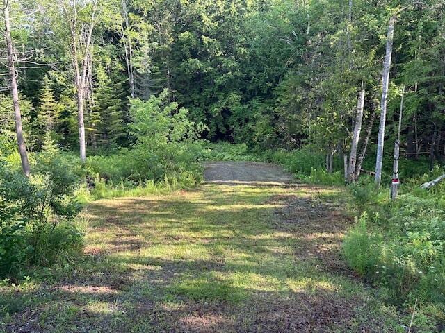 99 Waterville Rd, Belfast, ME 04915 - photo 5