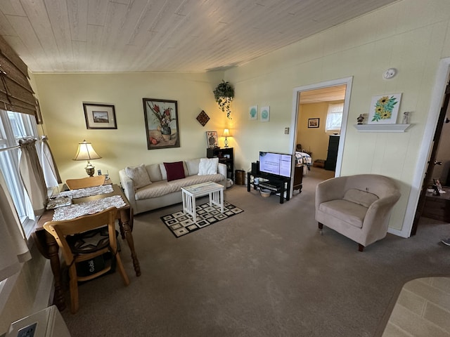 85 Mile Rd Unit 13, Wells, ME 04090 - carpeted living area featuring plenty of natural light and wood ceiling