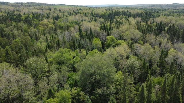 25-2 Lavertu Rd, Madawaska, ME 04756