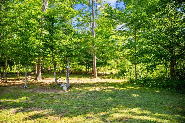 174 Marston Rd, Baldwin, ME 04091 - photo 28