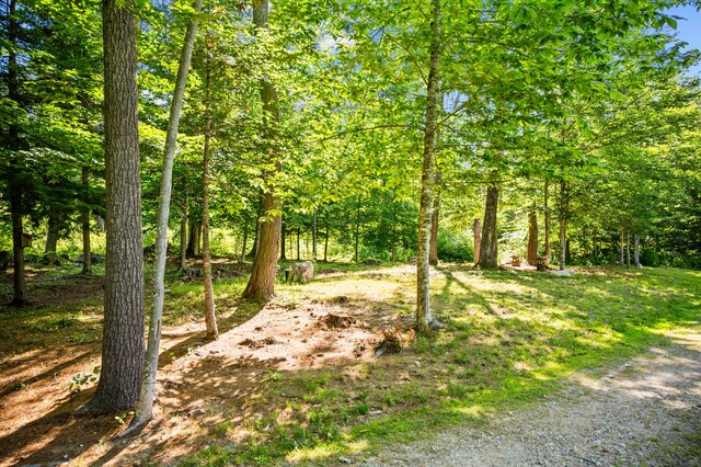 174 Marston Rd, Baldwin, ME 04091 - photo 29