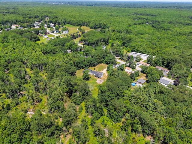 276 W St, Biddeford, ME 04005 - bird's eye view of a forest
