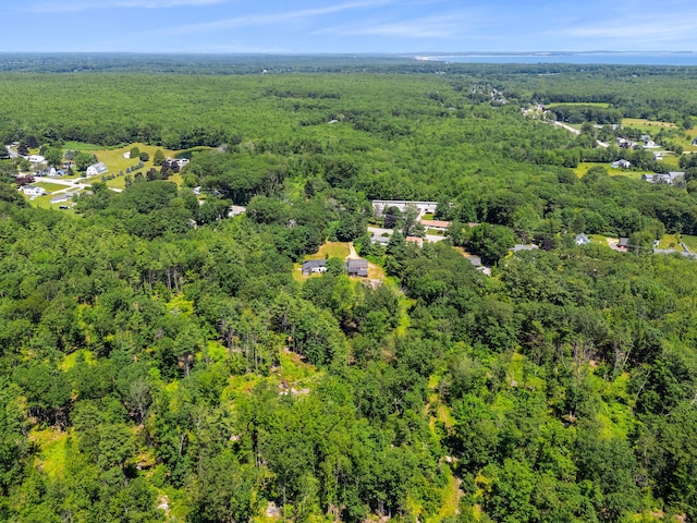 276 W St, Biddeford, ME 04005 - bird's eye view of a forest