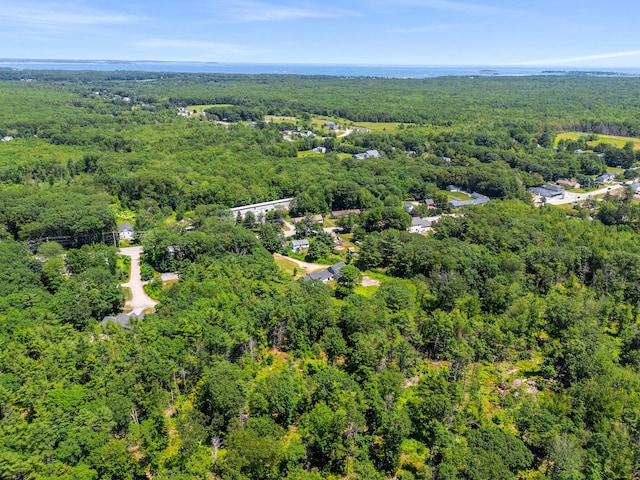 276 W St, Biddeford, ME 04005 - drone / aerial view of a forest