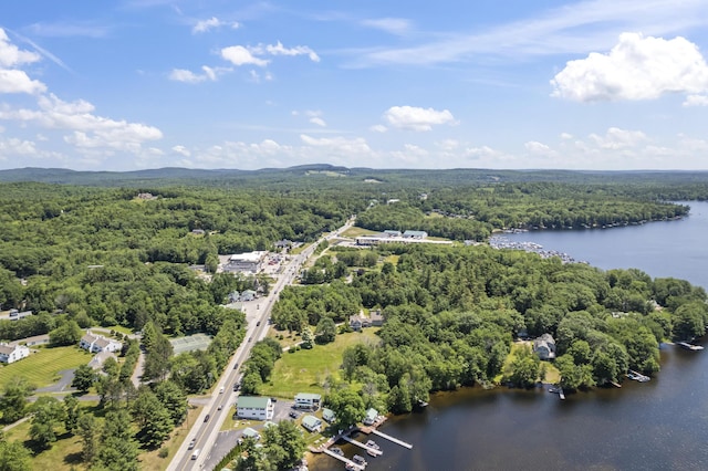 12 Bay Village Rd, Naples, ME 04055 - photo 46