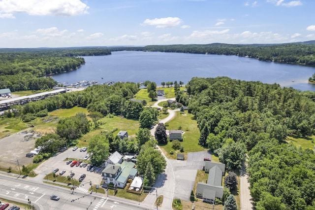 12 Bay Village Rd, Naples, ME 04055 - photo 47