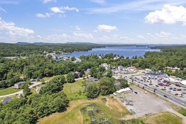 12 Bay Village Rd, Naples, ME 04055 - photo 51