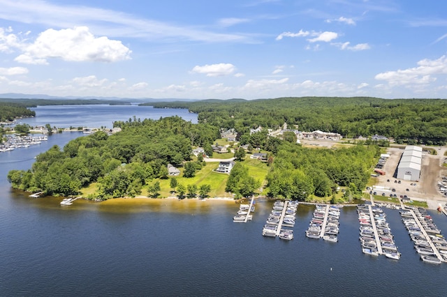 12 Bay Village Rd, Naples, ME 04055 - photo 53