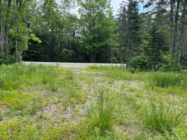 X Cooper Highway, Cooper, ME 04657 - photo 1