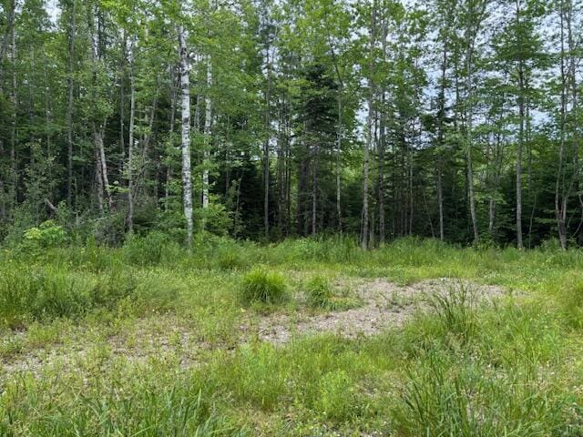 X Cooper Highway, Cooper, ME 04657 - photo 3