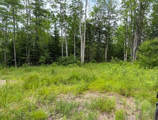 X Cooper Highway, Cooper, ME 04657 - photo 4