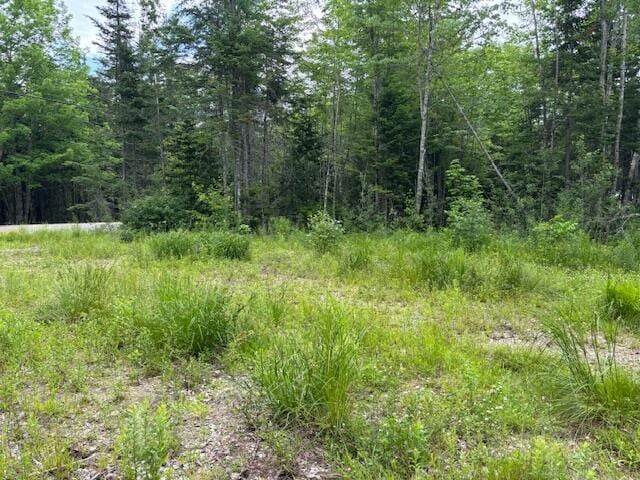 X Cooper Highway, Cooper, ME 04657 - photo 2