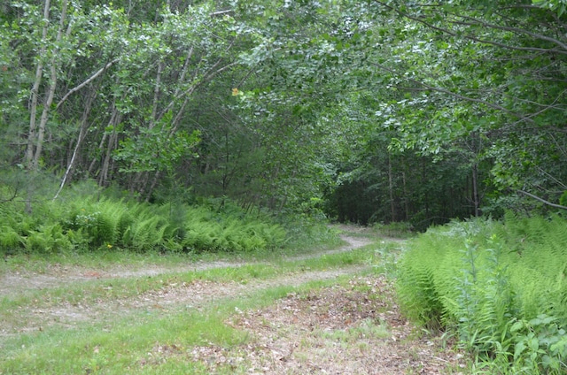 017-004-00 Old Town Farm Rd, Buckfield, ME 04220 - photo 22