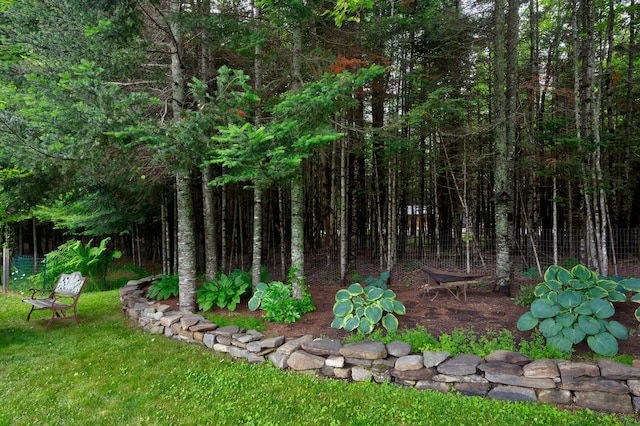 178 Kennebago Rd, Coplin Plt, ME 04970 - view of yard
