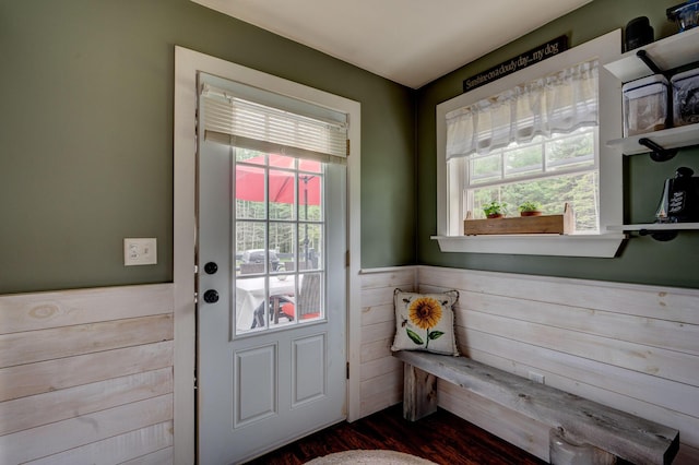 178 Kennebago Rd, Coplin Plt, ME 04970 - doorway with healthy amount of natural light, a wainscoted wall, and dark wood finished floors