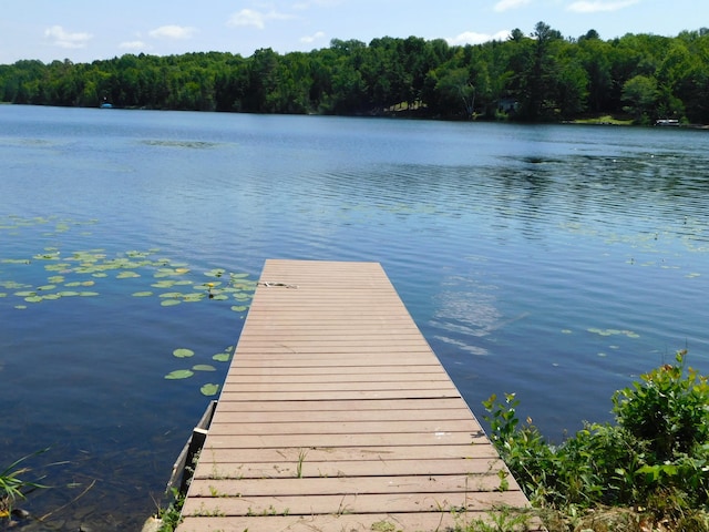208 Fern Rd, Dexter, ME 04930 - dock area with a water view and a view of trees