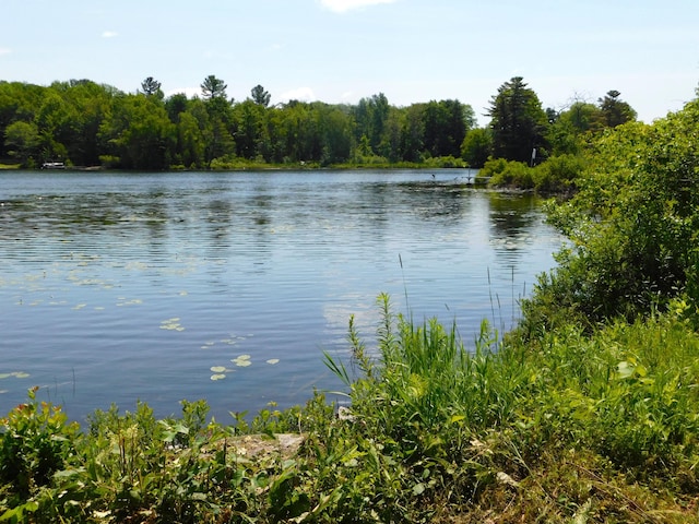 208 Fern Rd, Dexter, ME 04930 - water view featuring a forest