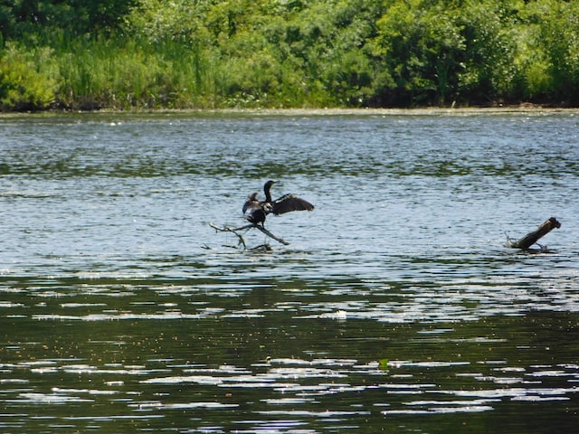 208 Fern Rd, Dexter, ME 04930 - water view