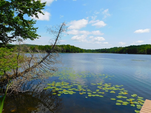 208 Fern Rd, Dexter, ME 04930 - water view featuring a forest