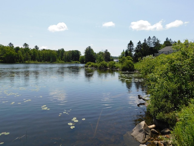208 Fern Rd, Dexter, ME 04930 - water view