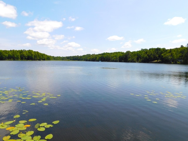 208 Fern Rd, Dexter, ME 04930 - water view featuring a forest