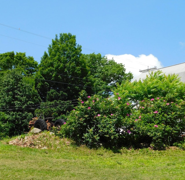 208 Fern Rd, Dexter, ME 04930 - view of yard