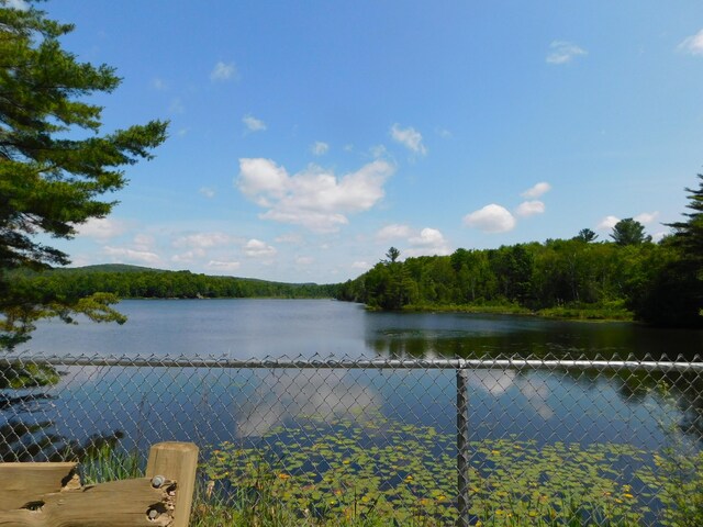 208 Fern Rd, Dexter, ME 04930 - water view with a heavily wooded area