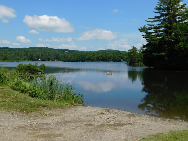 208 Fern Rd, Dexter, ME 04930 - water view featuring a forest