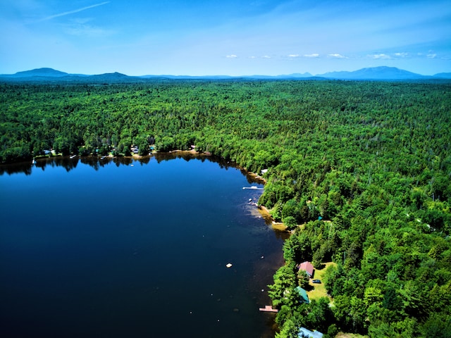 LOTCL29 Cozy Cor, Long A Twp, ME 04462