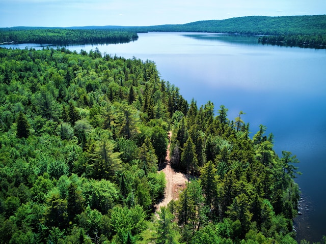 LOTCL29 Cozy Cor, Long A Twp, ME 04462