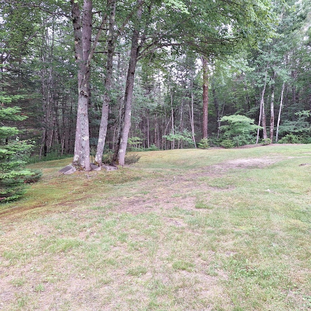 167 Mechanic Falls Rd, Poland, ME 04274 - view of green lawn with a wooded view