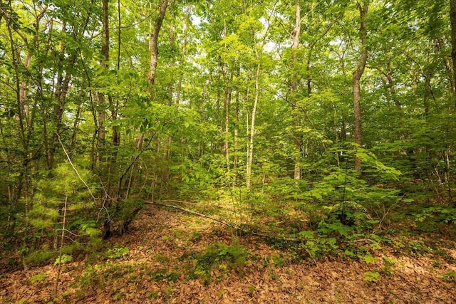 LOT5-2-4 Porcupine Ridge Rd, Bremen, ME 04551