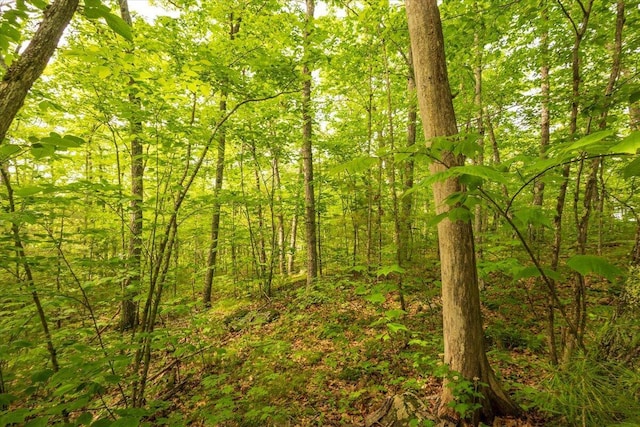LOT5-2-4 Porcupine Ridge Rd, Bremen, ME 04551