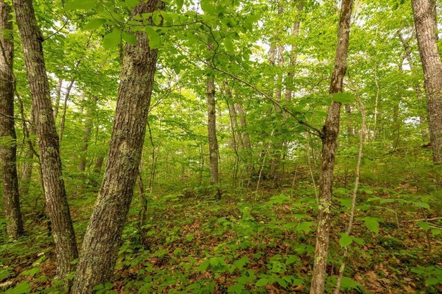LOT5-2-4 Porcupine Ridge Rd, Bremen, ME 04551