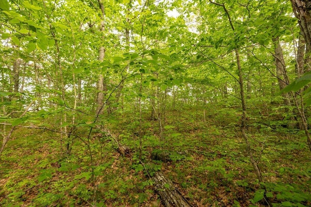 LOT5-2-4 Porcupine Ridge Rd, Bremen, ME 04551