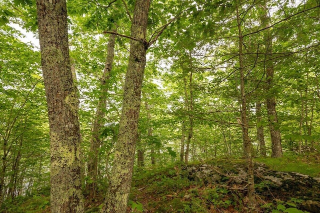 LOT5-2-4 Porcupine Ridge Rd, Bremen, ME 04551