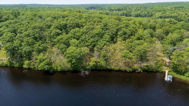 LOT5-2-4 Porcupine Ridge Rd, Bremen, ME 04551