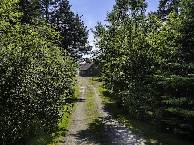 69 Jims Head Rd, Lubec, ME 04652 - view of dirt / gravel road