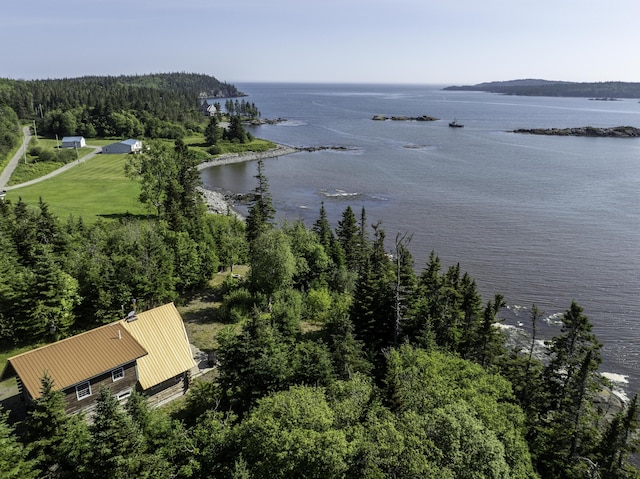 69 Jims Head Rd, Lubec, ME 04652 - bird's eye view of a nearby body of water and a forest