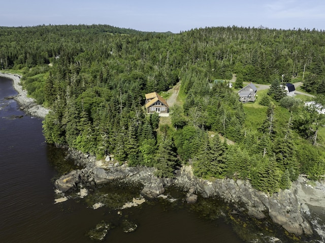 69 Jims Head Rd, Lubec, ME 04652 - aerial overview of property's location with a forest and a large body of water